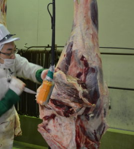 牛肉のもも