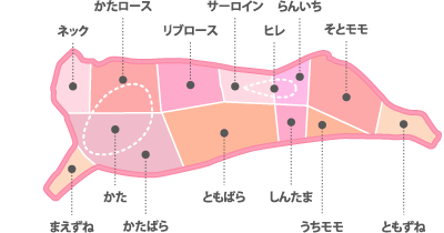 日本の牛肉の部位見取り図