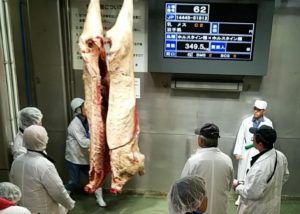 牛肉卸の実際の枝肉仕入れ現場