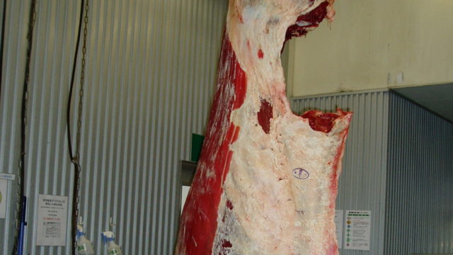 人間に不快を与える牛肉を除去された枝肉