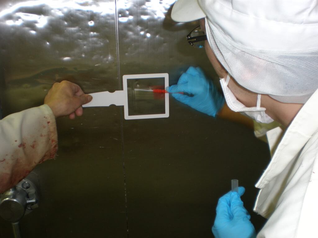 牛肉の細菌検査