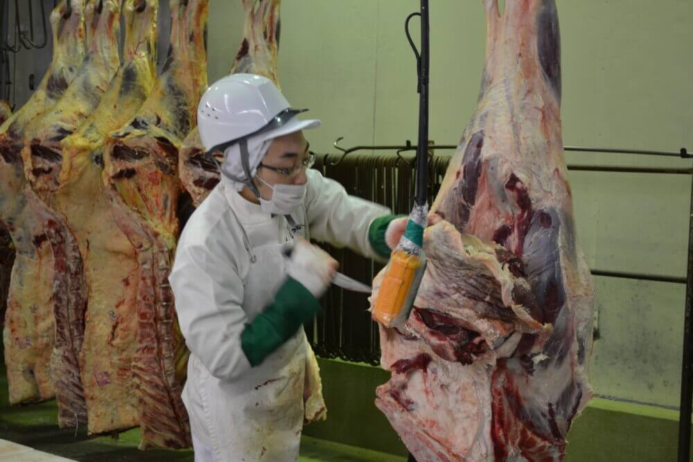 牛肉の脱骨風景